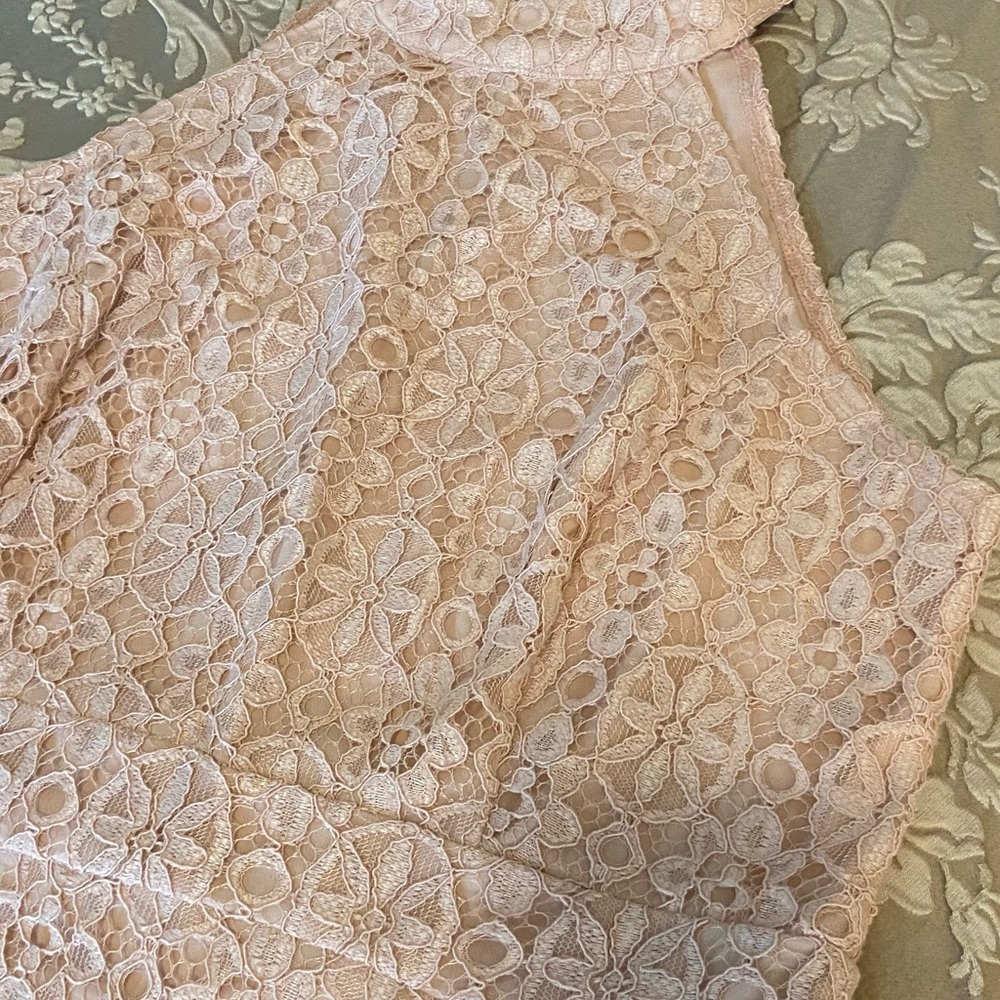 BLUSH LACE DRESS - Picture 4 of 14